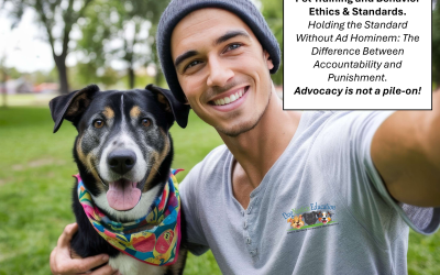 Holding the Standard Without Ad Hominem: The Difference Between Accountability and Punishment