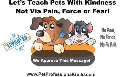 Choose Kindness and Take a Stand: How to Advocate Effectively for Pets