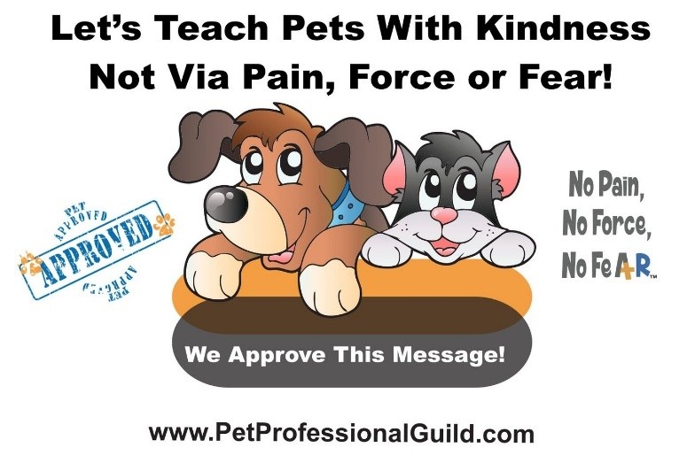 Choose Kindness and Take a Stand:  How to Advocate Effectively for Pets