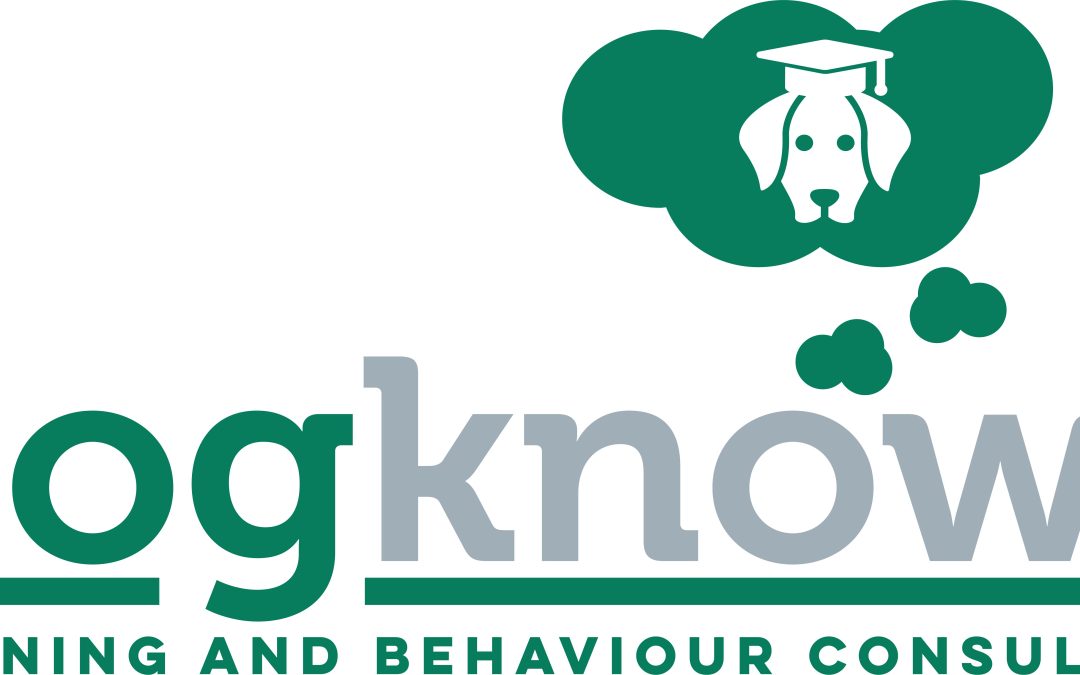 Kate Denman Dog Training Professional | DogNostics Education